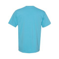 Comfort Colors Unisex Garment-Dyed Heavyweight T-Shirt