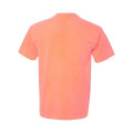 Comfort Colors Unisex Garment-Dyed Heavyweight T-Shirt