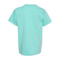 Comfort Colors Youth Garment-Dyed Heavyweight T-Shirt
