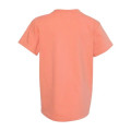 Comfort Colors Youth Garment-Dyed Heavyweight T-Shirt