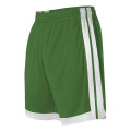 Alleson Athletic Youth Single Ply Basketball Shorts