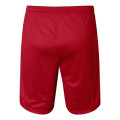 Champion Unisex Polyester Mesh 9" Shorts with Pockets