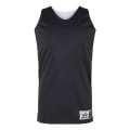 Alleson Athletic Youth V-Neck Baseball Jersey