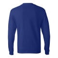 Hanes Authentic Long Sleeve T-Shirt