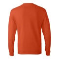 Hanes Authentic Long Sleeve T-Shirt