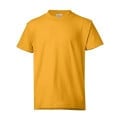 Hanes Authentic Long Sleeve T-Shirt