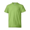 Hanes Authentic Long Sleeve T-Shirt