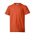 Hanes Authentic Long Sleeve T-Shirt