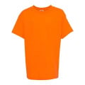 Hanes Authentic Long Sleeve T-Shirt