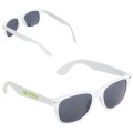 Daytona Sunglasses