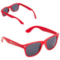 Daytona Sunglasses