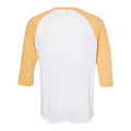 Alternative Victory Mineral Wash French Terry Shorts