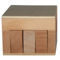 Wooden Sliding Cube Puzzle