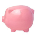 Pig Coin Bank