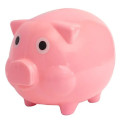 Pig Coin Bank