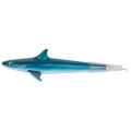 Shark ballpoint Pen