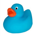 Lil' Rubber Duck