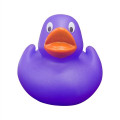 Lil' Rubber Duck