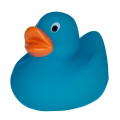Lil' Rubber Duck