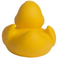 Lil' Rubber Duck