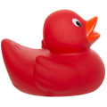 Lil' Rubber Duck