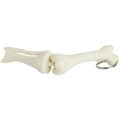 Knee Joint Bone Keyring