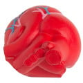 Anatomic Heart with Veins Stress Reliever