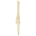 Knee Joint Bone Pen
