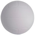 Volleyball Stress Ball