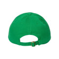 CAP AMERICA Relaxed Golf Dad Hat