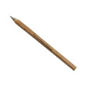 Bamboo Pen