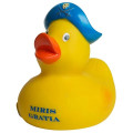 Pirate Duck