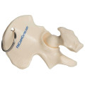Hip Bone Keyring