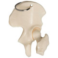 Hip Bone Keyring