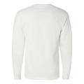 Champion Unisex Long Sleeve T-Shirt