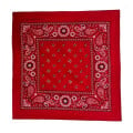 Cotton Bandana 22" x 22"