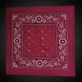 Cotton Bandana 22" x 22"