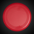 10" Flying Disc - Assorted Colors
