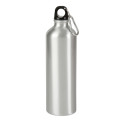 25oz Aluminum Alpine Bottle