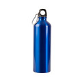 25oz Aluminum Alpine Bottle