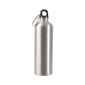 25oz Aluminum Alpine Bottle