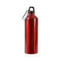 25oz Aluminum Alpine Bottle