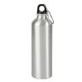 25oz Aluminum Alpine Bottle