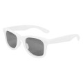The Monaco Matte Sunglasses