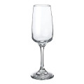 7 oz. Trentino Champagne Flutes