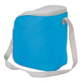 Cool Spring 12-Can Cooler