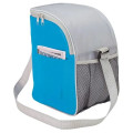 Cool Spring 12-Can Cooler