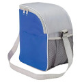 Cool Spring 12-Can Cooler