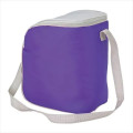 Cool Spring 12-Can Cooler