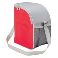 Cool Spring 12-Can Cooler
